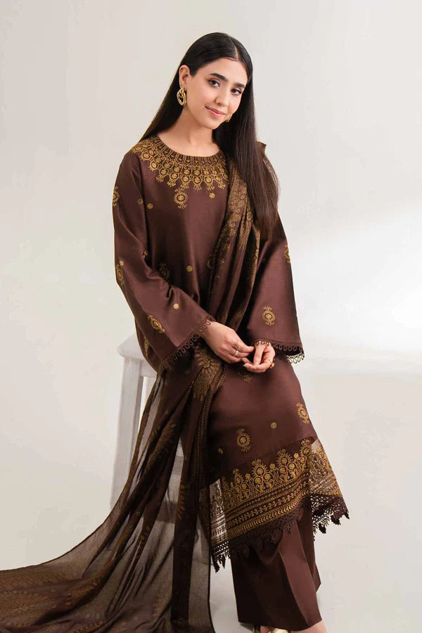 3 Piece - Printed Embroidered dhanak Suit -